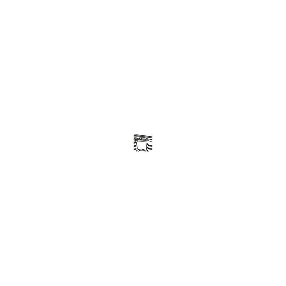 R T 100