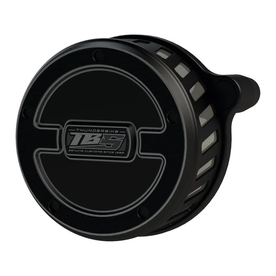 Vergaser, Luftfilter, EFI -Vergaser – Big Twin Evolution; Twin Cam