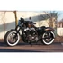 Fellow S – Harley-Davidson kompatibilis